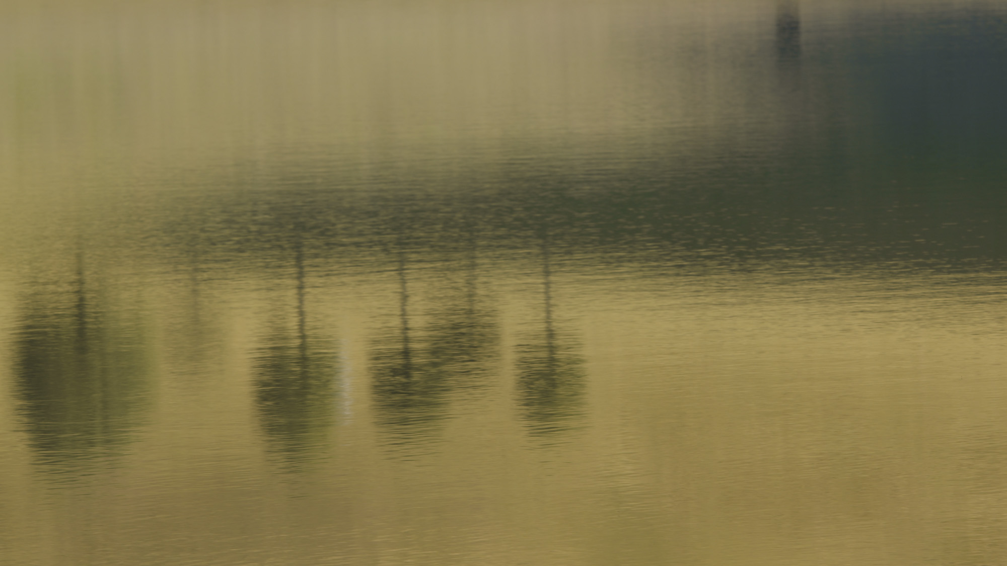 Timeline 1_01_00_18_18